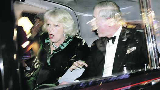 {05EFC20A-14D1-433B-A1A3-A1C9DA98DDAF}_casal real